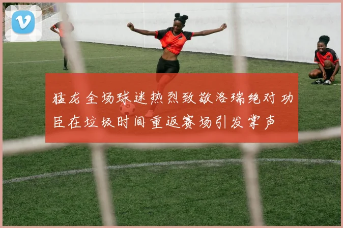 猛龙全场球迷热烈致敬洛瑞绝对功臣在垃圾时间重返赛场引发掌声
