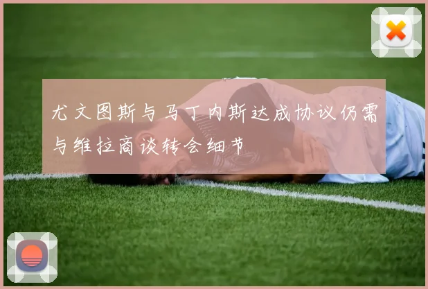 尤文图斯与马丁内斯达成协议仍需与维拉商谈转会细节