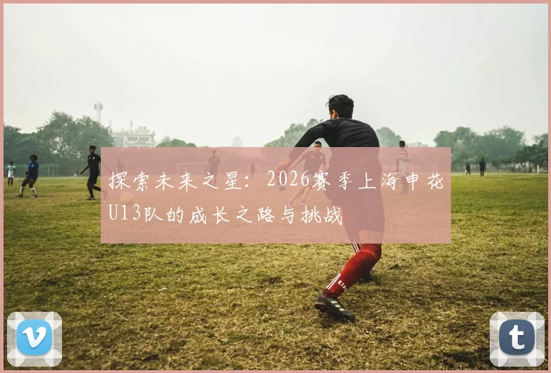 探索未来之星：2026赛季上海申花U13队的成长之路与挑战